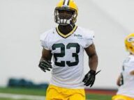 Packers jonathan franklin