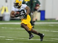 Jonathan Franklin Green Bay Packers