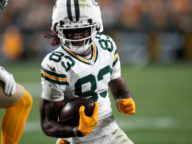 packers savion williams